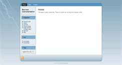 Desktop Screenshot of burrowsinst.com